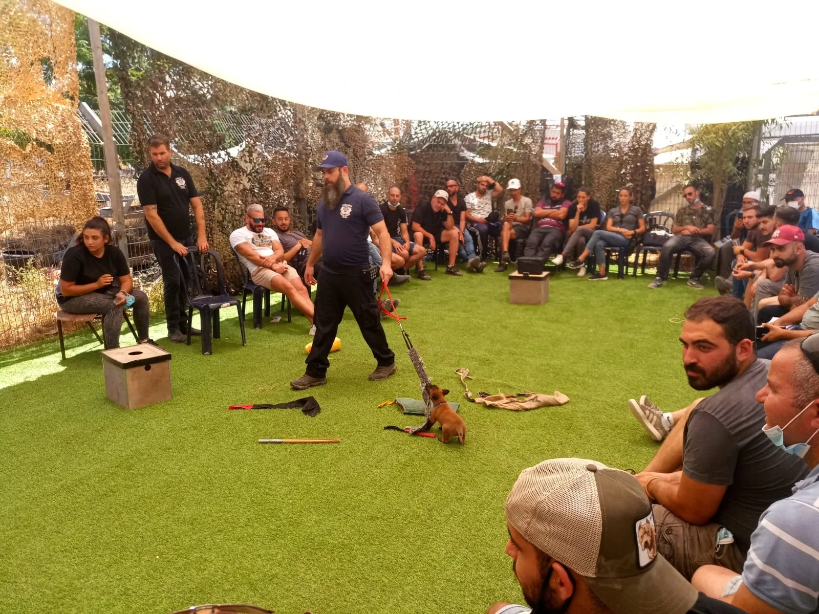 סמינר מאלפים בחוץ